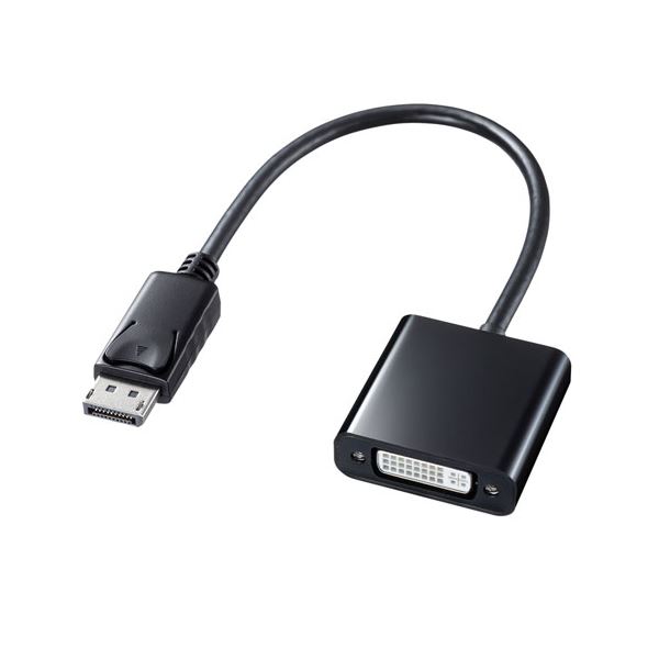 サンワサプライ DisplayPort-DVI変換アダプタ AD-DPDV04[21]