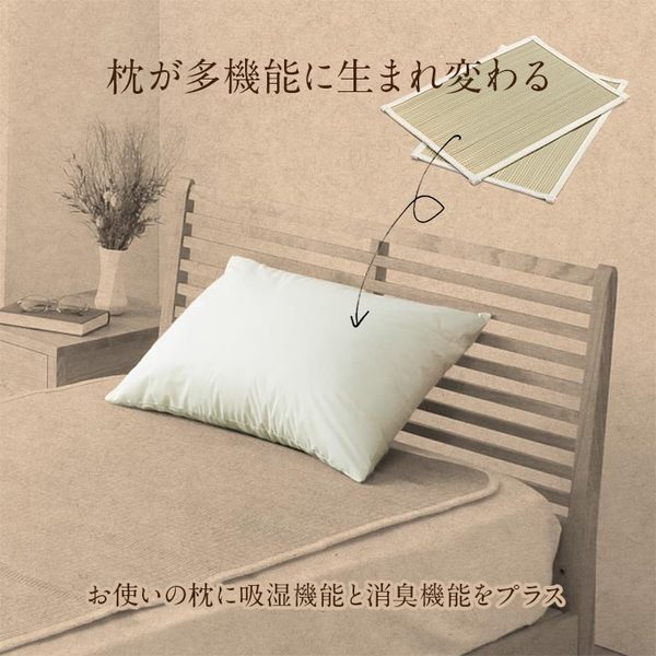 枕パッド シート 消臭 約25×35cm 2枚入り ナチュラル【代引不可】[21]