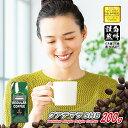 ＼クーポン有／ コーヒー豆 コーヒー 豆 粉 グアテマラ SHB 200g 豆のまま/挽き コーヒー粉 珈琲 珈琲豆 自家焙煎 グァテマラ ガテマラ レギュラーコーヒー ストレートコーヒー ブラックコーヒー 砂糖 ミルクに合う カフェオレ カフェラテ カプチーノ ドリップ 苦くない