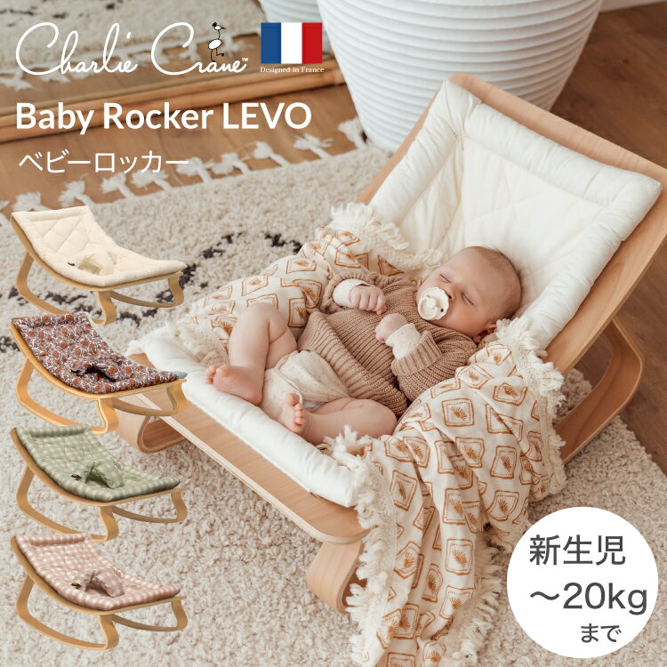 oET[ xr[`FA 肩 Ԃ ֎q bJ[ XCO V xr[ nC[bN Q @ 􂦂 xr[bN oYj `[[N[ xr[bJ[ Charlie Crane LEVO Baby Rocker