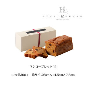 マンゴーブレッド45 Mango bread 45 マンゴー ブレッド フルーツ 本和香糖 オーガニック 含蜜糖 朝食 おやつ 差し入れ ヘルシー はちみつ シナモン ナツメグ 洋菓子 焼き菓子 お取り寄せ 人気