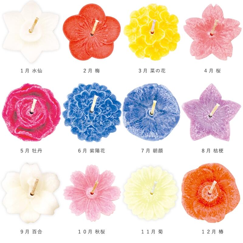 kameyama candle ������ �֤Ť������եȥ��åȡʿ�ʪ���˥ե����ƥ��󥰥����ɥ�