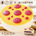 アレルギー対応 トロピカル ホール 5号 15cm バースデーケーキ 誕生日ケーキ グルテンフリー 乳・卵・小麦を使用していないスイーツ きらら