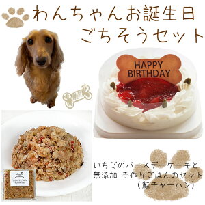 わんちゃんお誕生日ごちそうセット コミフ いちごケーキと 無添加 手作り 犬用ごはん 鮭チャーハンのセット 送料無料(※一部地域除く)