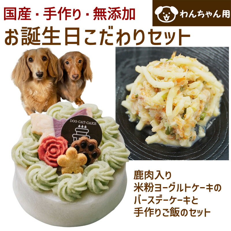 わんちゃんお誕生日こだわりセット 愛犬のお祝いケーキ マンゴー入り米粉ヨーグルトケーキと手作り犬用ごはん クリームパスタのセット バースデーケーキ