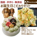 わんちゃんお誕生日こだわりセット 愛犬のお祝いケーキ 鹿肉入り米粉ヨーグルトケーキと手作り犬用ごはん 鶏肉の雪下人参クリームシチューのセット