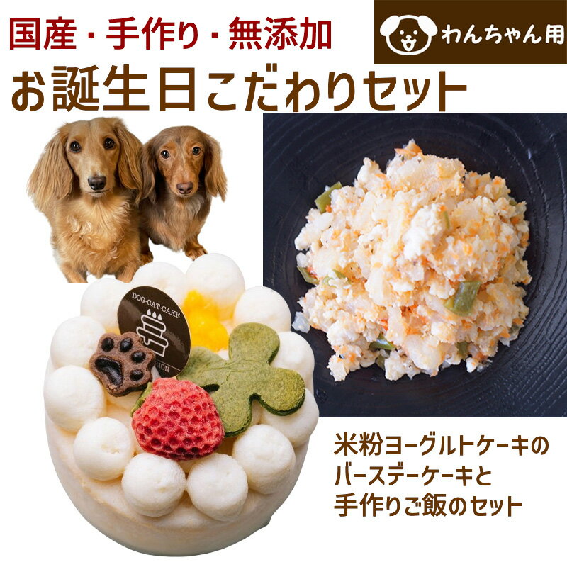 期間限定！わんちゃんお誕生日こだわりセット 愛犬のお祝いケーキ マンゴー入り米粉ヨーグルトケーキ 雪下人参ガパオライスのおまけ付き