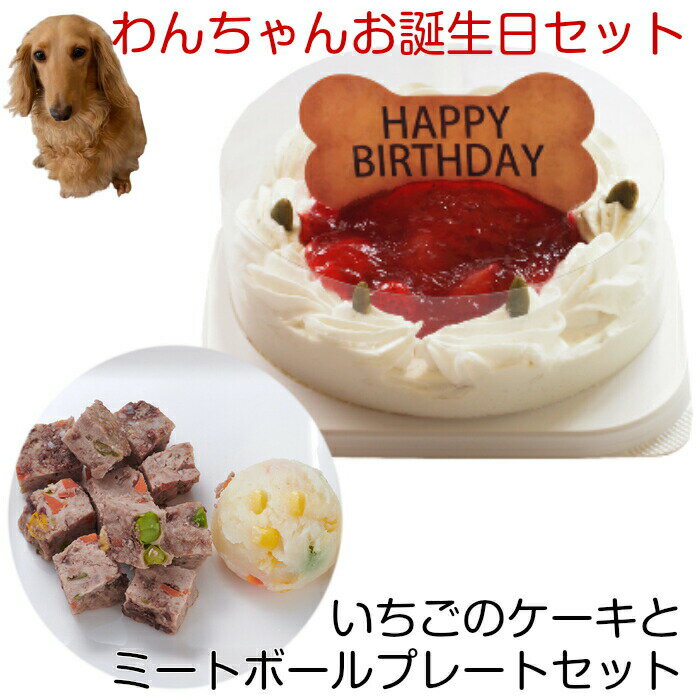 わんちゃんお誕生日ディナーセット いちごケーキとミートボールプレートセット 送料無料