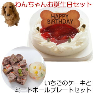 わんちゃんお誕生日ディナーセット コミフ いちごケーキとミートボールプレートセット 送料無料(※一部地域除く)