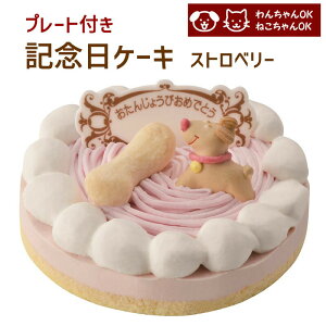 記念日ケーキ ストロベリー 誕生日ケーキ バースデーケーキ 猫用ケーキ 犬用ケーキ (ペットライブラリー or partnerfoods)