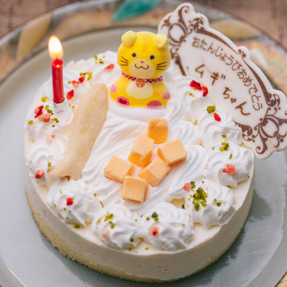 猫用 ネコ用 誕生日ケーキ チーズごろごろ 誕生日レアチーズケーキ 名前が書けるプレート付き 賞味期限2024.07.01 ペットケーキ バースデーケーキ cat cake