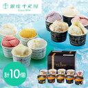 お歳暮・贈り物 オススメ 「銀座千疋屋」 銀座プレミアムアイス&ソルベ 10個詰め合わせ (アイス5個、ソルベ5個) 2410
