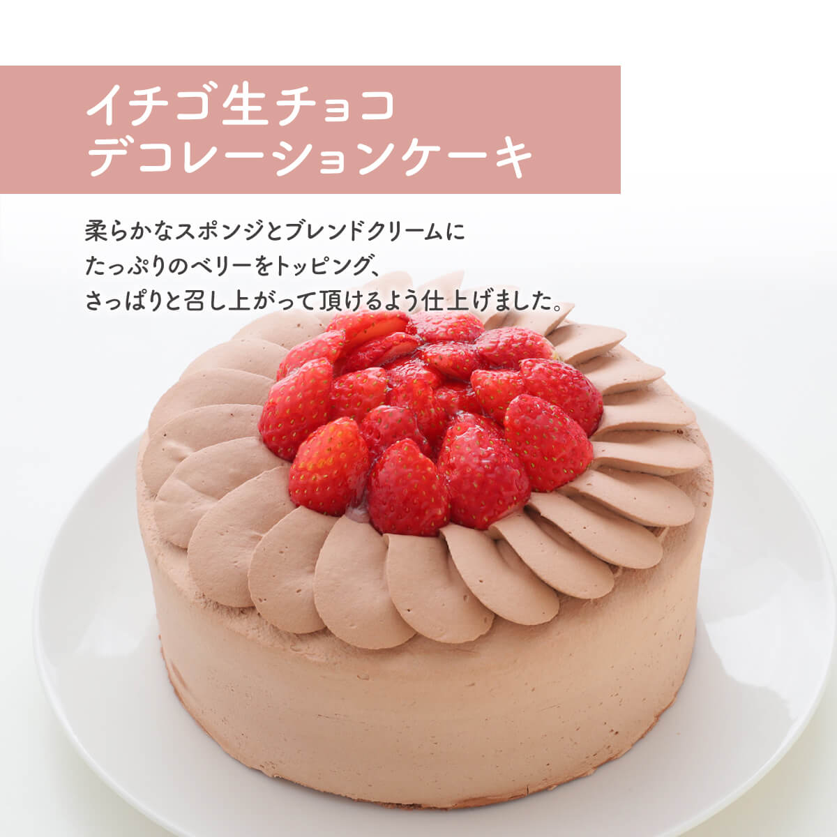 【送料無料】イチゴ生チョコデコレーションケーキ 6号 18c