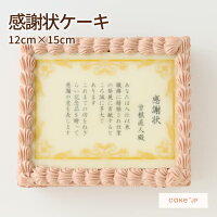  感謝状ケーキ 12cm×15cm 3~5人分 オーダーメイド メッセージ 名前入れ プレゼント ギフト チョコレートケーキ イチゴ 苺 いちご お祝い サプライズ ケーキ 感謝状 退職祝い 退職 誕生日 お礼 名入り 表彰状 お取り寄せ(3320252)