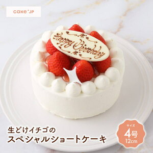 【送料無料】 生どけイチゴのスペシャルショートケーキ　4号 12cm 誕生日ケーキ ショートケーキ バースデーケーキ 記念日 冷凍 ケーキ 誕生日 バースデー お祝い プレゼント ギフト お取り寄せ イチゴ 苺 いちご