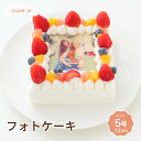 【送料無料】フォトケーキ 5号 15cm 3人〜5人分 誕生日ケーキ 子供 プリント イラスト フォト バースデーケーキ キャラクター ギフト 大人 ケーキ 記...