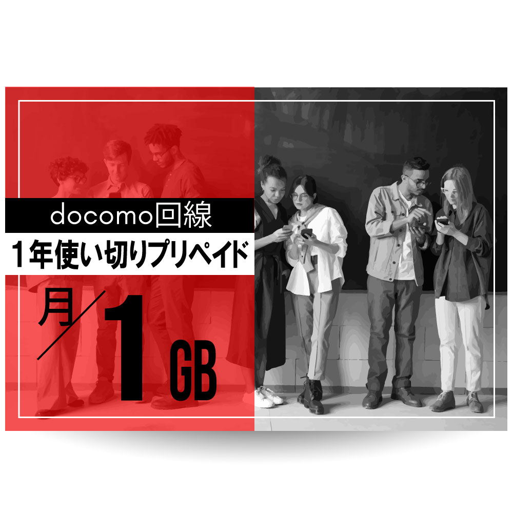 CALENDAR SIM docomo1ǯץڥSIM /1GBץ