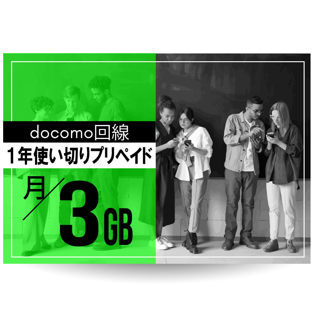 CALENDAR SIM docomo1ǯץڥSIM /3GBץ