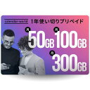 【楽天回線】CALENDAR 大容量1年プリペイドSIMカード 月間50GB/100GB/300GBから選べる大容量プラン