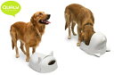 MR.DOG ドッグフードボール 【QUALY/qualy/クオリー/新生活/生活雑貨/キッチン雑貨/インテリア雑貨/かわいい雑貨/タイ雑貨/アジアン雑貨/最新...