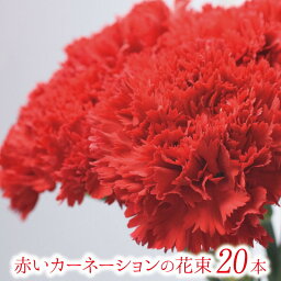 カーネーション 母の日 赤いカーネーションの花束 20本【フラワーギフト】 ギフト 贈り物 プレゼント お祝い