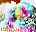母の日 レインボーカーネーションの花束 15本 楽ギフ_包装 フラワーギフト 贈り物 プレゼント お祝い【rainbow15】