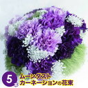 母の日 プレゼント ムーンダスト カーネーション 花束【フラワーギフト】【誕生日】【お祝い】【御祝】 ギフト 贈り物 プレゼント お祝い 卒業祝