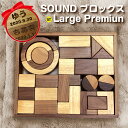 名入れ無料 SOUNDブロックス Large Premium 名入れ 積み木 クリスマスプレゼント 1歳 2歳 木のおもちゃ誕生日 女の子 男の子 サウンドブロ...