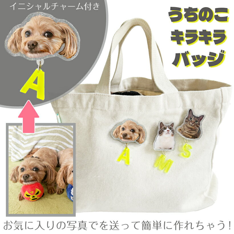 Rakuten - お気に入りの写真で作る【 うちのこ キラキラ バッジ 】 愛犬 愛猫 愛鳥 ペット 犬 猫 うさぎ 鳥 亀 オーダー うちの子 写真 グッズ ブローチ ピンバッジ 蛍光 おしゃれ かわいい 誕生日 誕生日プレゼント アクリル うちの子グッズ オリジナルグッズ プレゼント メモリアル