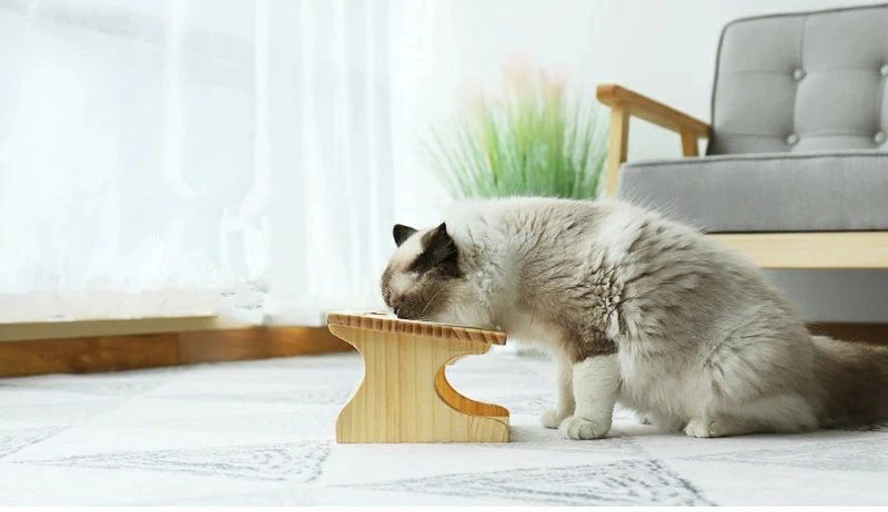 食器台 猫食器 ペット食器 ペットボウル 猫 小型犬 セラミックボウル 陶器 餌入れ 餌皿 理想的な高度 食べやすい 洗い安い 健康的 愛犬・愛猫 可愛いデザイン ご飯台 猫用 小型犬 無料