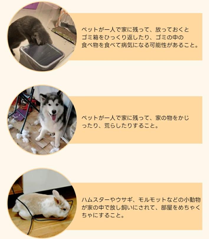 プリシラ みつあみウィッグ バンド PG-01 耐熱　TMGX・ミックスアッシュゴールド