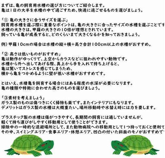 亀の水槽 飼育ケース タートルタンク 大きい カメの水槽 カメの飼育ケース 日向ぼっこ台 エサ皿 脱出防止フェンス 蓋つき ポンプ 傾斜斜め 沈殿 掃除しやすい おしゃれ 亀ボックス 亀ケース カメ 観察 甲羅