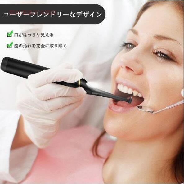 超音波 スケーラー 歯用ツール 電動 歯クリーナー 歯垢 除去 歯垢とり器具 歯石 自分で取る 電動歯ブラシ 口腔洗浄器 USB充電 IPX6防水