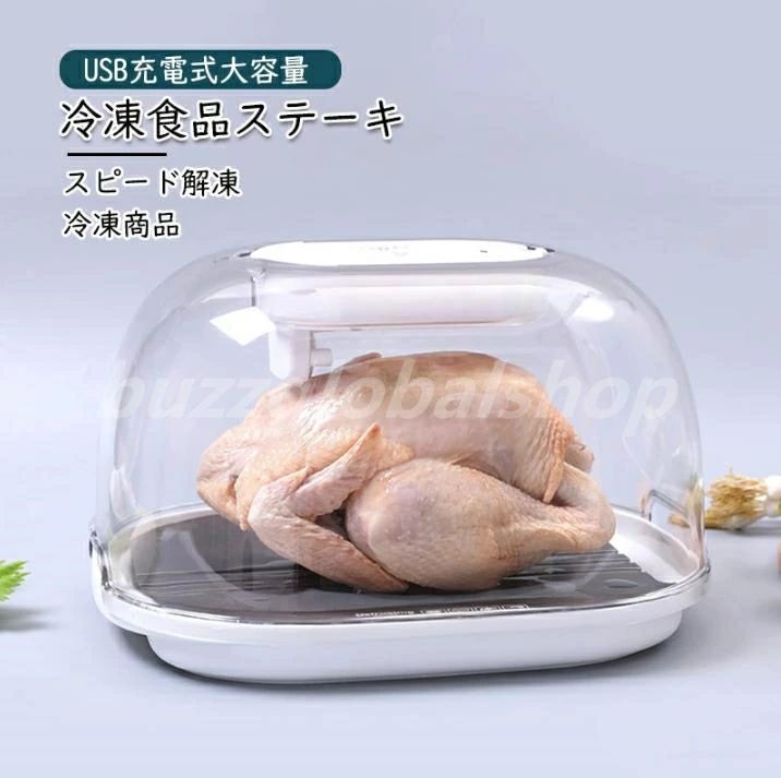 冷凍食品ステーキ 解凍トレイ デフロスター USB充電式大容量 家庭用 解凍プレート 解凍皿 急速 解凍 調理器具 スピード解凍 肉 魚 冷凍商品