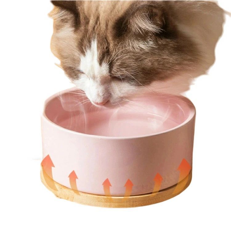 ペットボウル 加熱 フードボウル 食器 猫 犬 ウサギ 鳥類 鶏 鴨 水飲み器 室内用 ペット用加熱ボール 一体型 ペット保温ボウル 給水器 usb 恒温加熱 30℃ ペット 餌入れ 猫用ドリンクボウル セラミック製 寒さ対策 お留守番対応 四季節対応 操作簡単