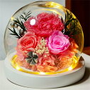 プリザーブドフラワー カーネーション 永遠の花 永生花 枯れない花 ギフト プレゼント ガラスポット ドライフラワー ボックス付 LEDライト付 卒業式 母の日...