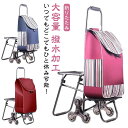 35L 撥水加工 折りたたみ キャリーカート 椅子付き 大容量 ショッピングキャリー 買い物カート 座れる 無地 敬老の日 自立 キャリーバッグ エコバッグ 軽量 ショッピングカート 階段対応 段差対応 ストライプ柄 おしゃれ 高齢者 ネイビー プレゼント 紺 防水