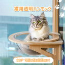 猫 透明 ボール おしゃれ ハンモック ドーム 宇宙船 猫 窓 ベッド 台 猫ベッド 吸盤 取り付け ねこ キャットステップ スケルトン 強力吸盤 耐荷重 20kg 15kg 壁 スケルトンハンモック ドーム 吸盤スケルトンハンモックねこ キャットベッド かわいい おしゃれ