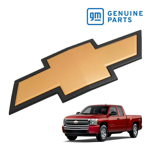 z613_1.jpg