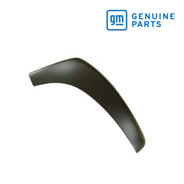 GM純正 リア オーバーフェンダー フロント 右側 助手席側 RH 15829685 00-06y タホ