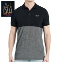 HOLLISTERzX^[KiYStretch Pique Colorblock Polo̎q|Vc321-364-0674-900ubNC|[guhCOtyXgSALEz[0518]