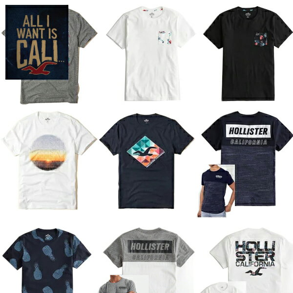 Tシャツ メンズ 半袖 ホリスター正規 Hollisterメンズ 正規品 半袖 San Pedro Bayプリント 半袖 Tシャツ 正規 アメカジ インポートブランド【楽ギフ_包装】