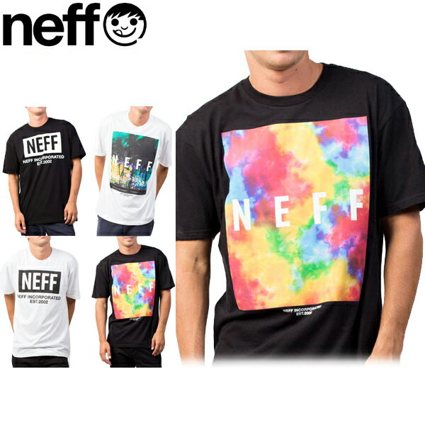 【売り尽くし】【売り尽くし SALE】Tシャツ メンズ 半袖 在庫売りつくし NEFF ネフQuad City T-Shirt Snowboard スノーボード ブランド メンズ半袖 Tシャツ16F29008 16F29007 アメリカ買い付け 値下げ