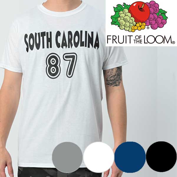 FRUIT OF THE LOOMフルーツオブザルーム tシャツ TEEシャツ プリントロゴ　メンズアメカジ カレッジプリント黒半袖Tシャツsouthcarolina