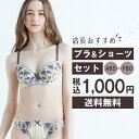 【1000円ぽっきり】デザインおまかせ ブラジャー＆ショーツセット Eカップ Fカップ ブラジャー ショーツ セット レディース 下着 ブラショーツ 上下セット 女性 ブラショーツセット 送料無料 ドルチェフィオラ Dolce Fiora 福袋 マラソン対象の商品画像