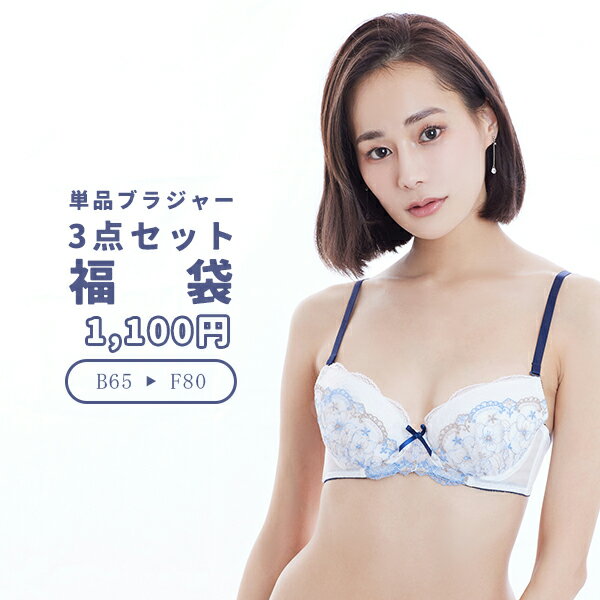 3点 ブラジャー福袋　 単品 B〜F 3枚 福袋 ブラジャー レディース 下着 B〜F 女性 ブラ ブラのみ ブラ単品 大きいサイズ グラマー Eカ..