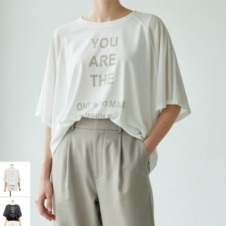 designaeraデザインアエラ【シアースリーブコンビロゴプルオーバー】トップス カットソー Tシャツ tシャツ ロゴt シアーカットソー 五分袖 半袖 春 夏 白 黒 M フリー 大人カジュアル カジュアル 着回し おしゃれ コットン 綿 calin カラン ［26103-711］