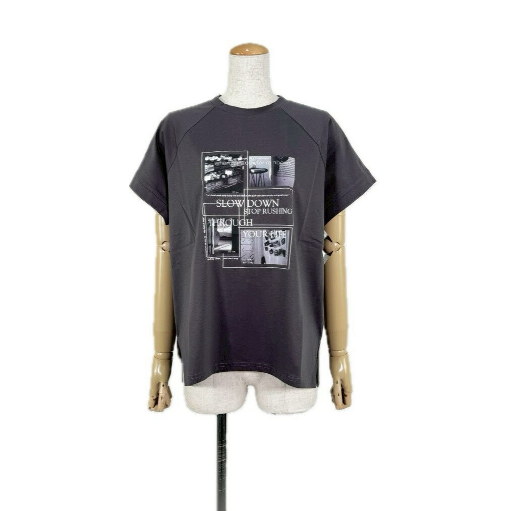 PLAISIR/プレジールレディース トップス カットソー Tシャツ 半袖 ロゴt デイリー 着回し 体型カバーコットン100 綿100 カジュアル プリントT 春 夏 秋 大人カジュアル M 全3色 上品 calin カラン praisir［980-25107-073］