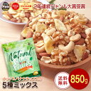 ナッツ&バナナチップの5種ミックス 850g バナナチップ ハイオレイックピーナッツ 生くるみ カシューナッツ アーモンド 落花生 産地直輸入 チャック袋入り 無塩 素焼き 防災食品 非常食