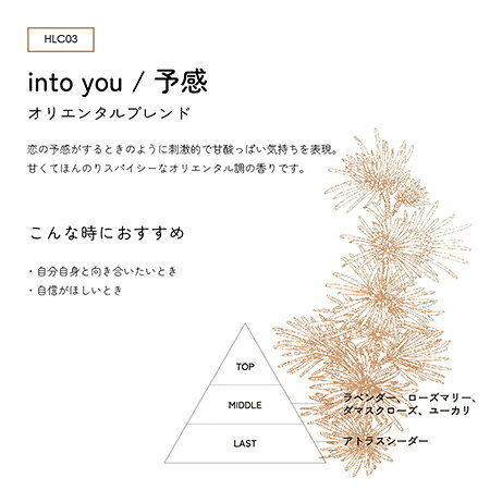 CON'CELECT コンセレクトプラス オーガニックネイルオイル into you/予感 10ml【オ...